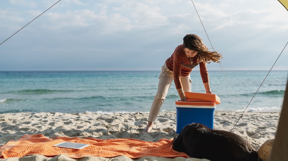 Jak przechowywać żywność podczas letnich podróży? Niezbędnik turysty