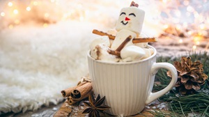 Slow Christmas – How to Enjoy Your Kitchen and Home Without the Rush