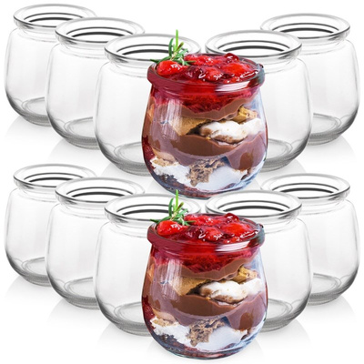 Joghurtglas Dessertglas Glasbehälter Einmachgläser 300 ml 12 Stk.