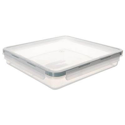 Food Container with Lid and Gasket 900 ml