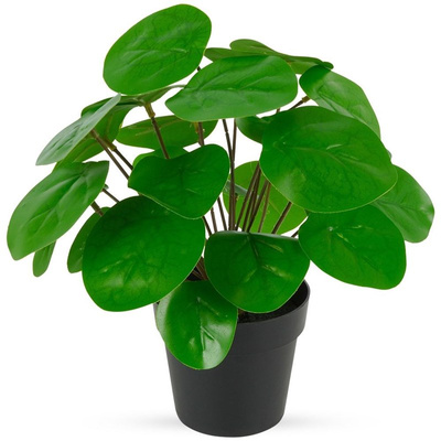 Artificial Potted Plant Pilea Money Plant 24 cm