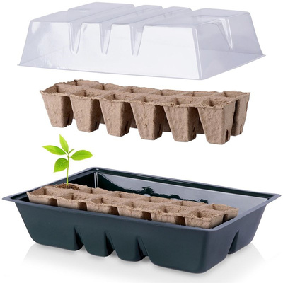 Seed Tray 33x23 cm