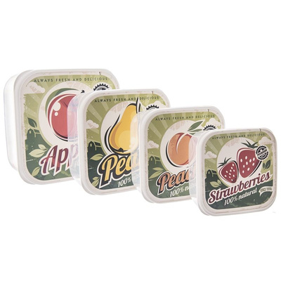 Food Container 4 pcs