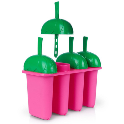 Ice Lolly Mould 4 pcs