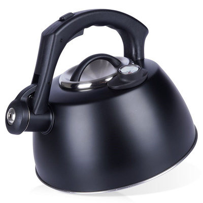 Whistling Kettle Steel Black with a Thermometer 3 l