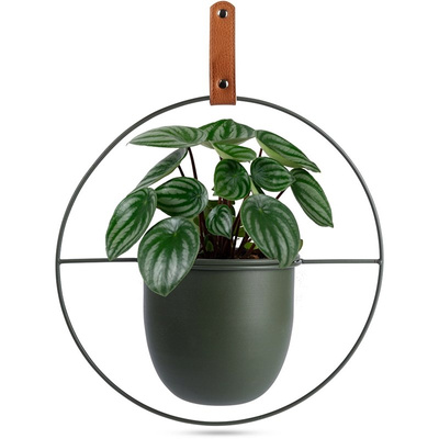 Hanging Planter Metal Green 30x30 cm